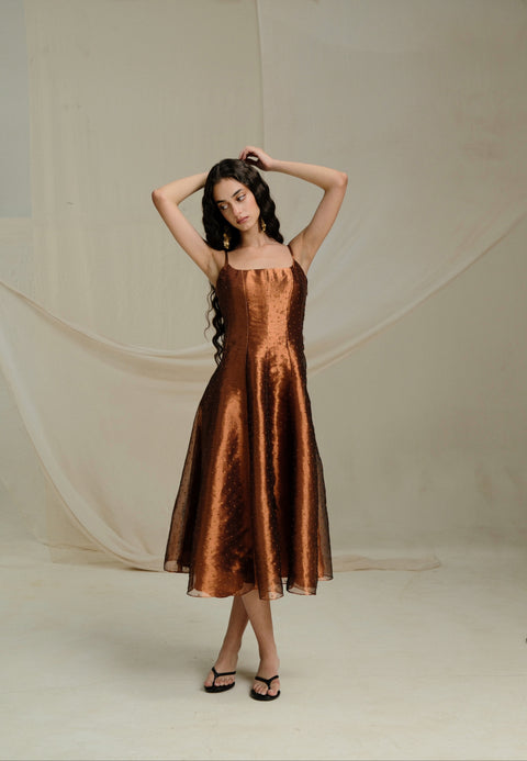 A-line Embroidered Banaras Tissue Dress